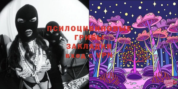 твердый Дмитриев