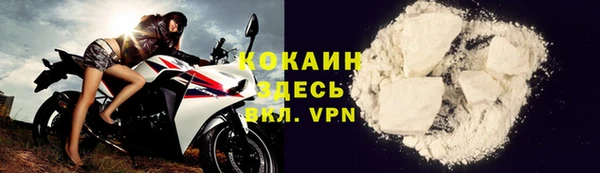 твердый Дмитриев