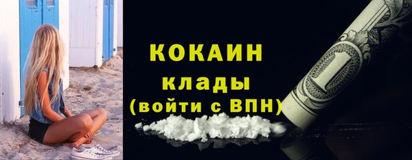 твердый Дмитриев