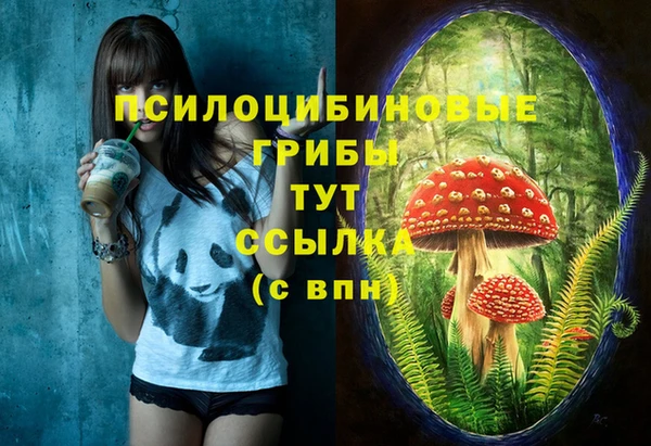 spice Гусиноозёрск