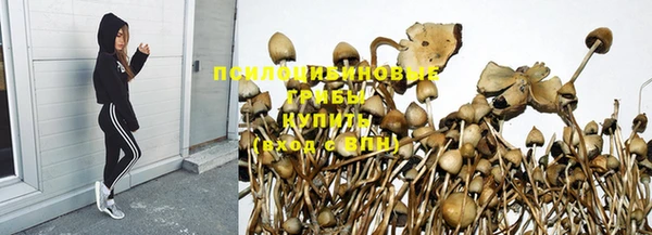 мяу мяу мука Дмитров