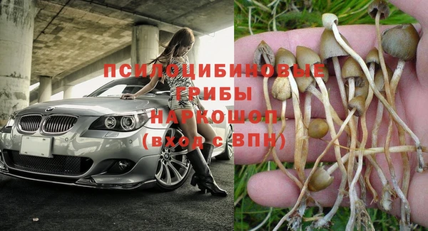 мяу мяу мука Дмитров